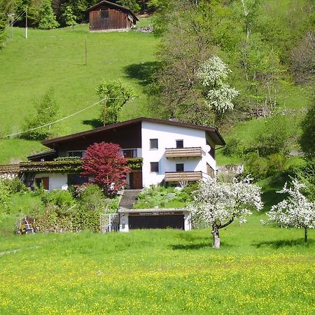 Sonnenhaus Sander Schruns Luaran gambar
