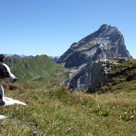 Sonnenhaus Sander Schruns Luaran gambar