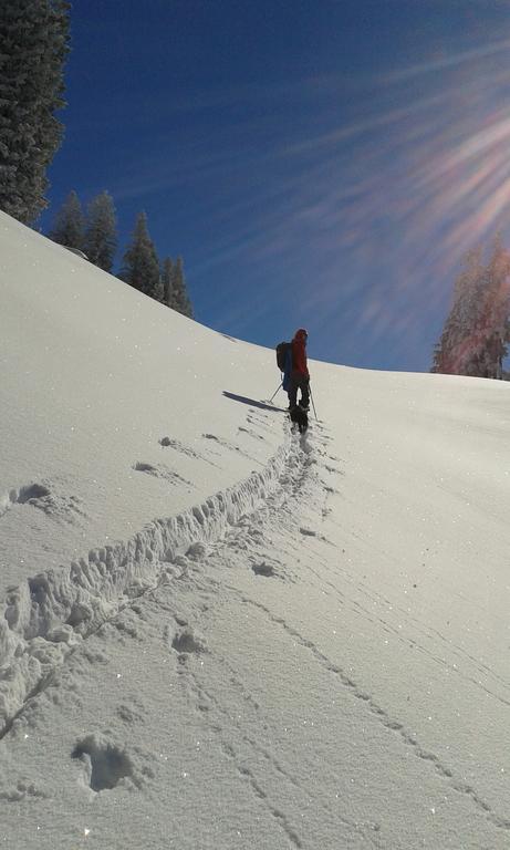 Sonnenhaus Sander Schruns Luaran gambar