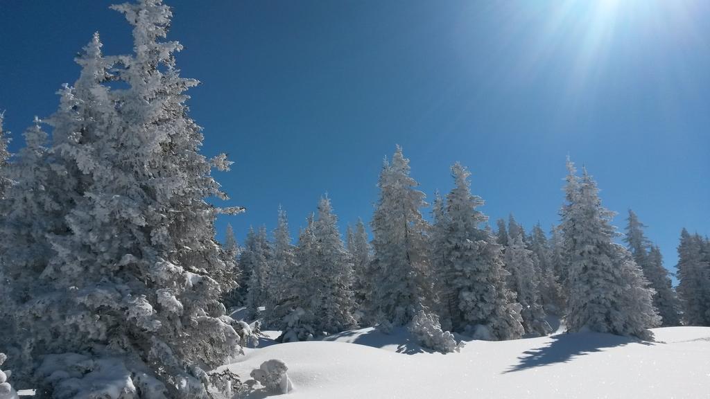 Sonnenhaus Sander Schruns Luaran gambar