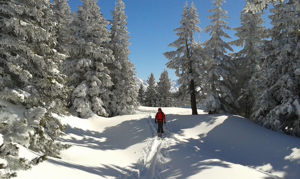 Sonnenhaus Sander Schruns Luaran gambar