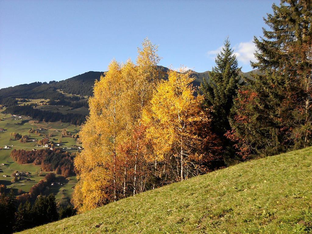 Sonnenhaus Sander Schruns Luaran gambar