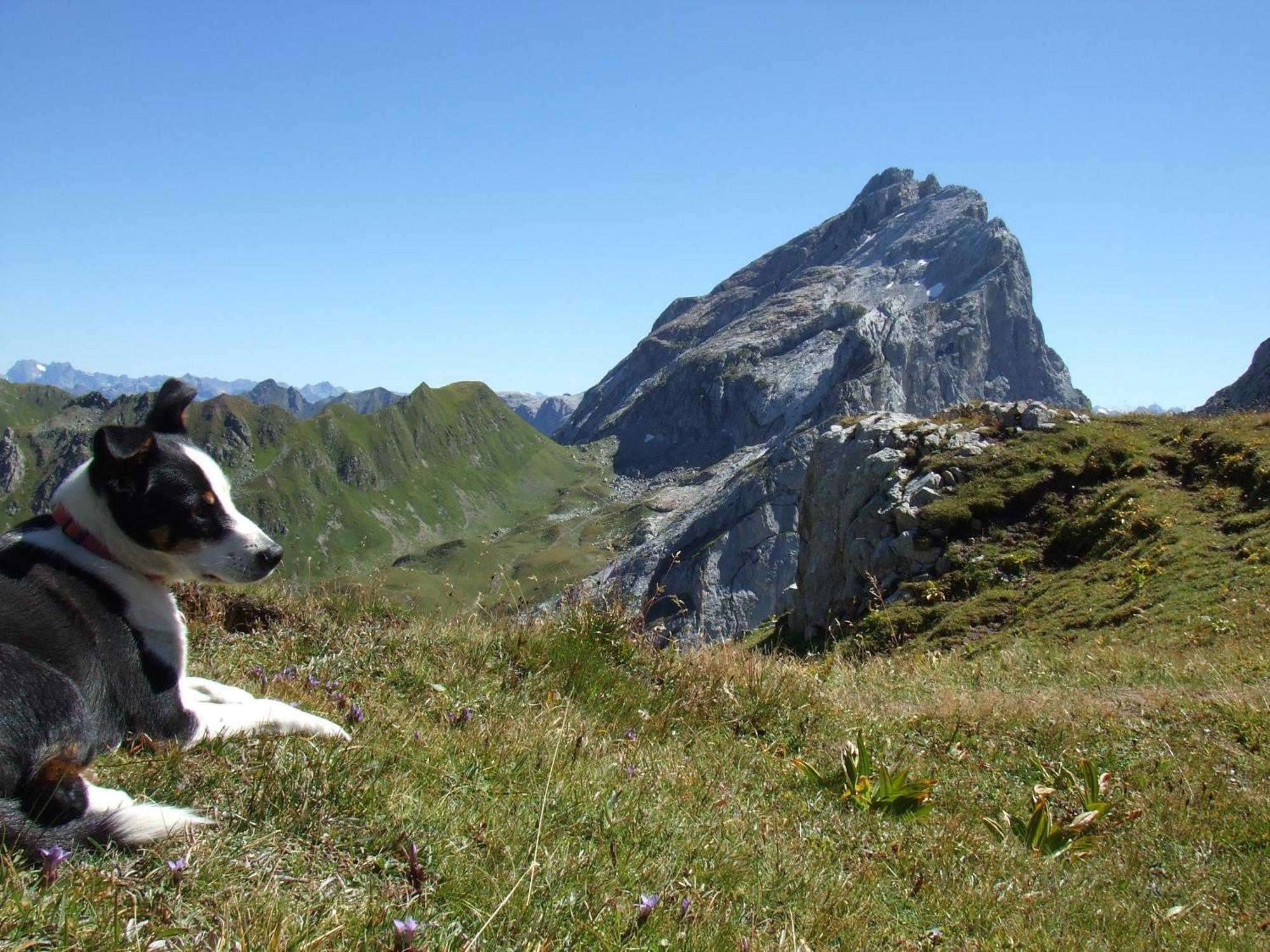 Sonnenhaus Sander Schruns Luaran gambar