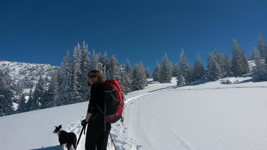 Sonnenhaus Sander Schruns Luaran gambar