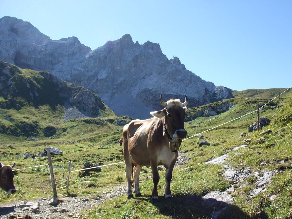 Sonnenhaus Sander Schruns Luaran gambar